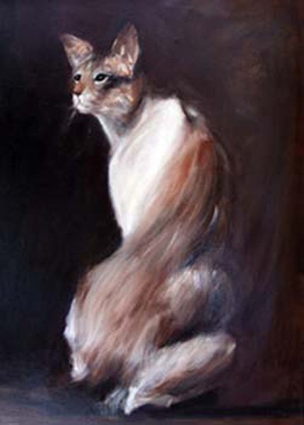 Chat crème - Peinture de Christine Gauche