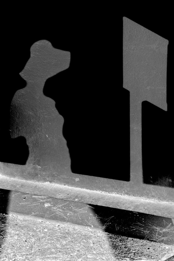 Ombres - Photographie de Christine Gauche